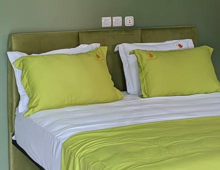 Chambre Enola (Suite Senior)