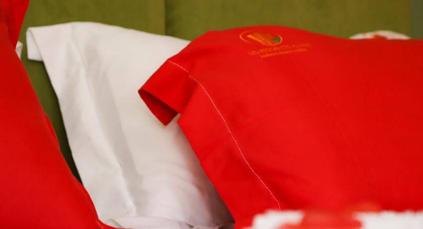 Chambre Enola (Suite Senior)