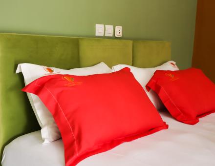 Chambre Enola (Suite Senior)