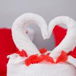 Chambre Enola (Suite Senior)