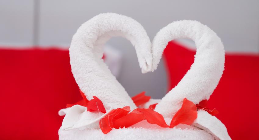 Chambre Enola (Suite Senior)